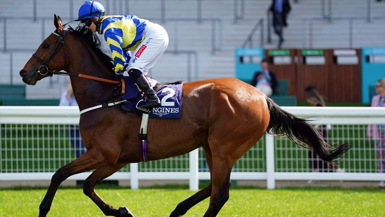 Hollie Doyle’s blog: Trooper Bisdee can emulate Trueshan in Northumberland Plate at Newcastle | Racing News