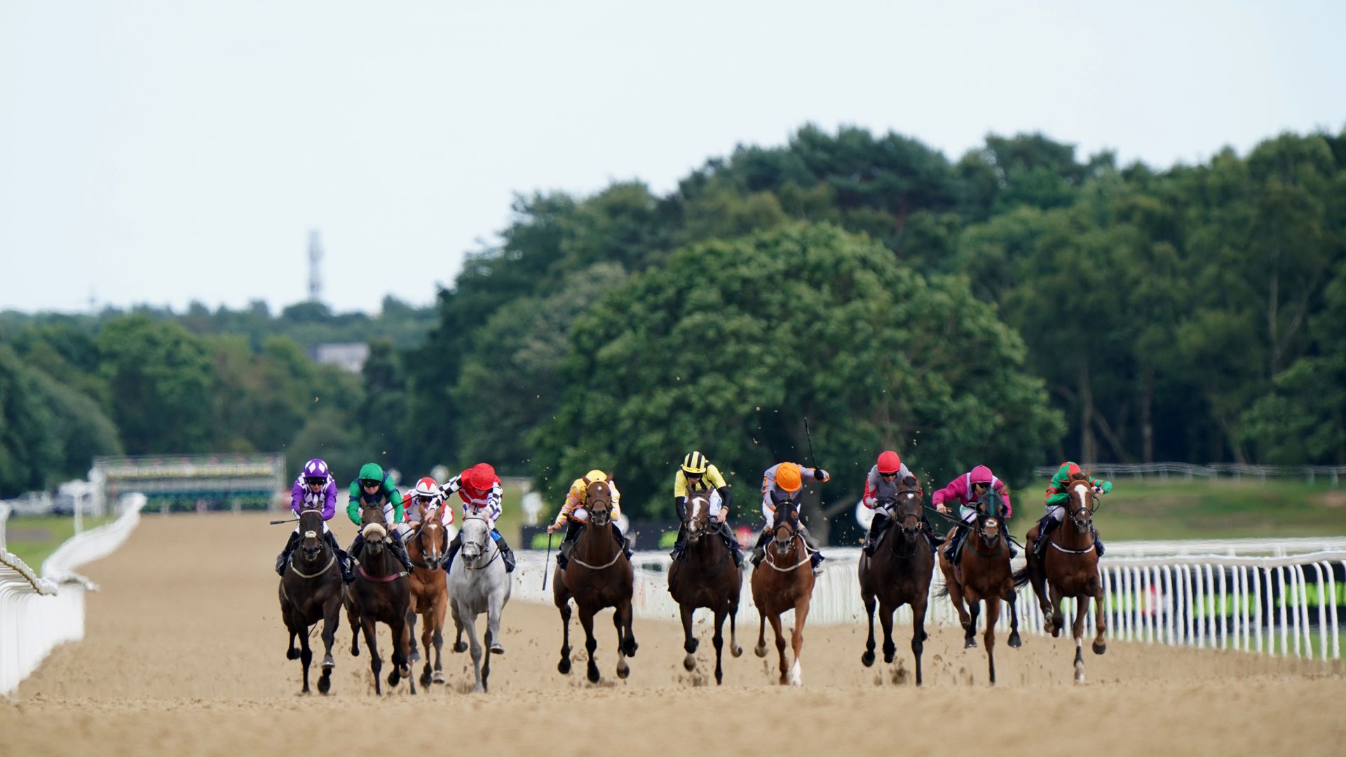 Newcastle tips: Four to follow at the Northumberland Plate Festival | Racing News