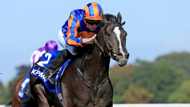 Royal Ascot: Aidan O’Brien 2024 stable tour features old favourites Kyprios, Auguste Rodin & Continuous | Racing News