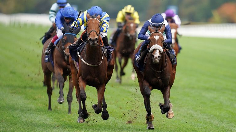 Royal Ascot: Hollie Doyle on weather watch for Trueshan ahead of Gold Cup | Racing News