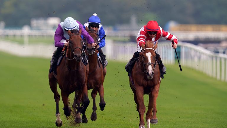 Royal Ascot tips: Hugh Taylor’s three picks for Day Three | Racing News