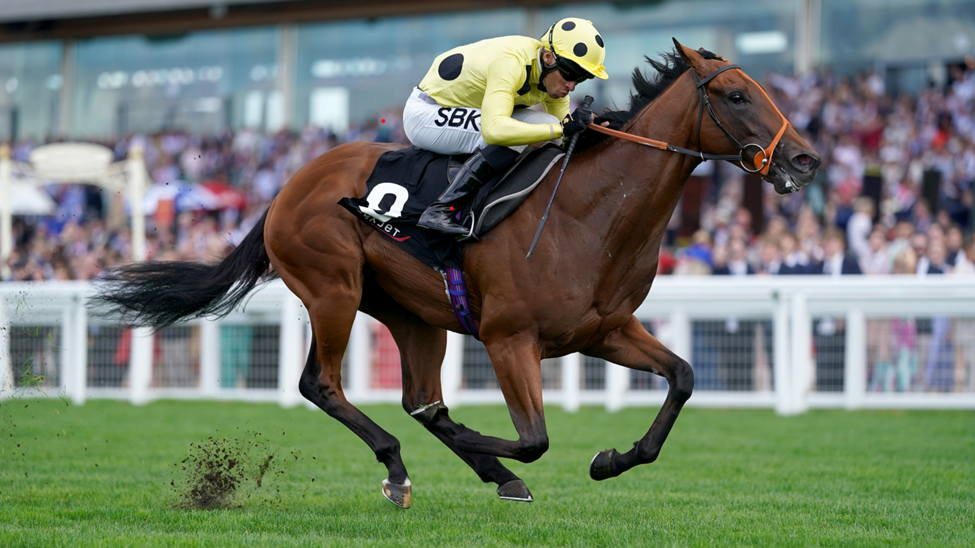 Today on Sky Sports Racing: Rosallion seeks revenge against Notable Speech at Royal Ascot | Racing News