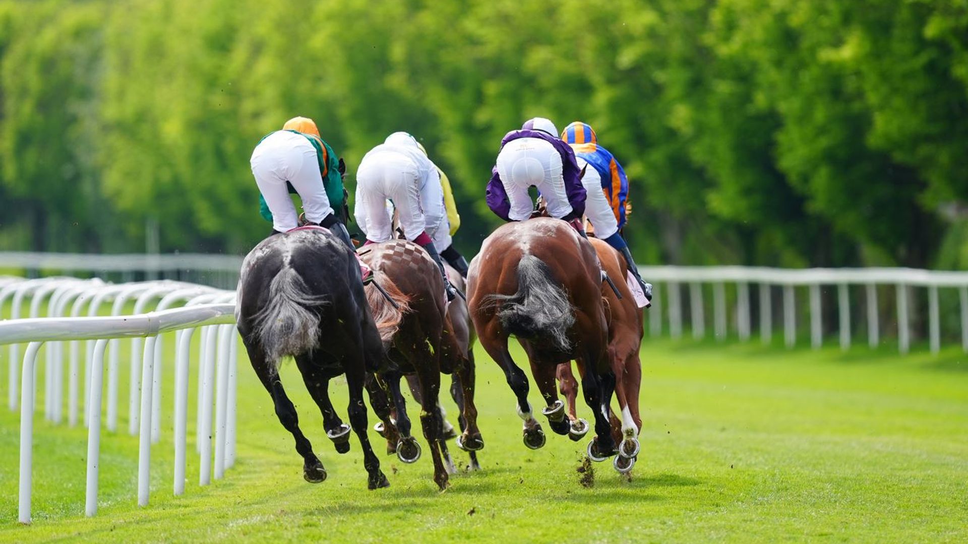 Today on Sky Sports Racing: Uggy Uggy Uggy clashes with Swift Hawk at Newton Abbot | Racing News